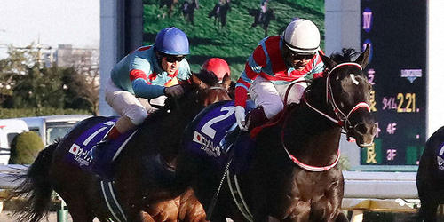 引退レースのジャパンCを制したコントレイルと福永騎手(右)=2021年11月28日、東京競馬場