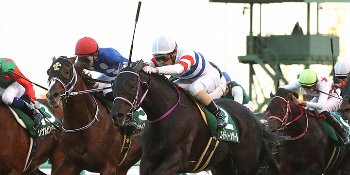 直線一気の末脚で京阪杯を制したエイティーンガール（中央）＝2021年11月28日、阪神競馬場