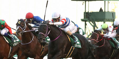 直線一気の末脚で京阪杯を制したエイティーンガール(中央)=2021年11月28日、阪神競馬場