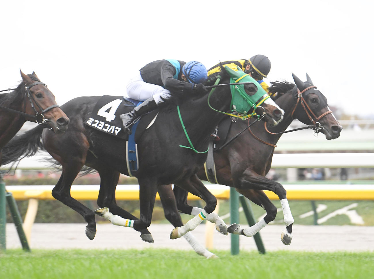 東京8R赤松賞を制したミスヨコハマ（手前）、2着ビヨンドザヴァレー（撮影・柴田隆二）