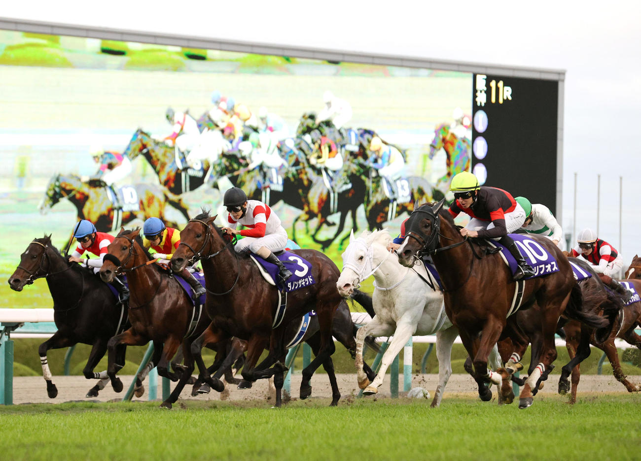 マイルCS2着に敗れたダノンザキッド（左から3頭目）（撮影・上山淳一）