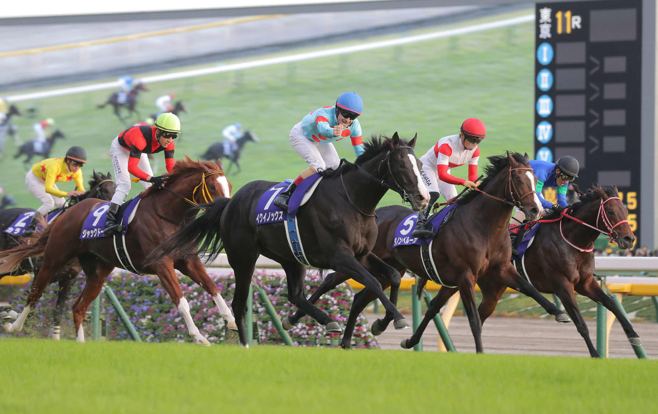 天皇賞・秋3着に敗れたダノンベルーガ（右から2頭目）。中央は勝ったイクイノックス