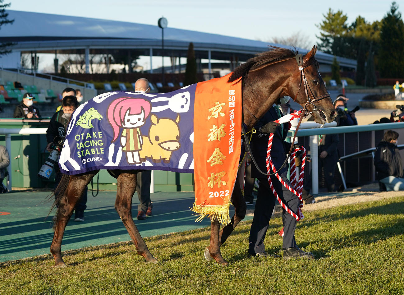 京都金杯を制したザダル（2022年1月5日撮影）