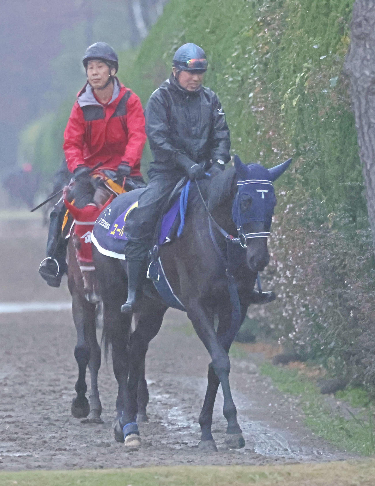 冷たい雨の中、乗り運動を行うユーバーレーベン（撮影・丹羽敏通）