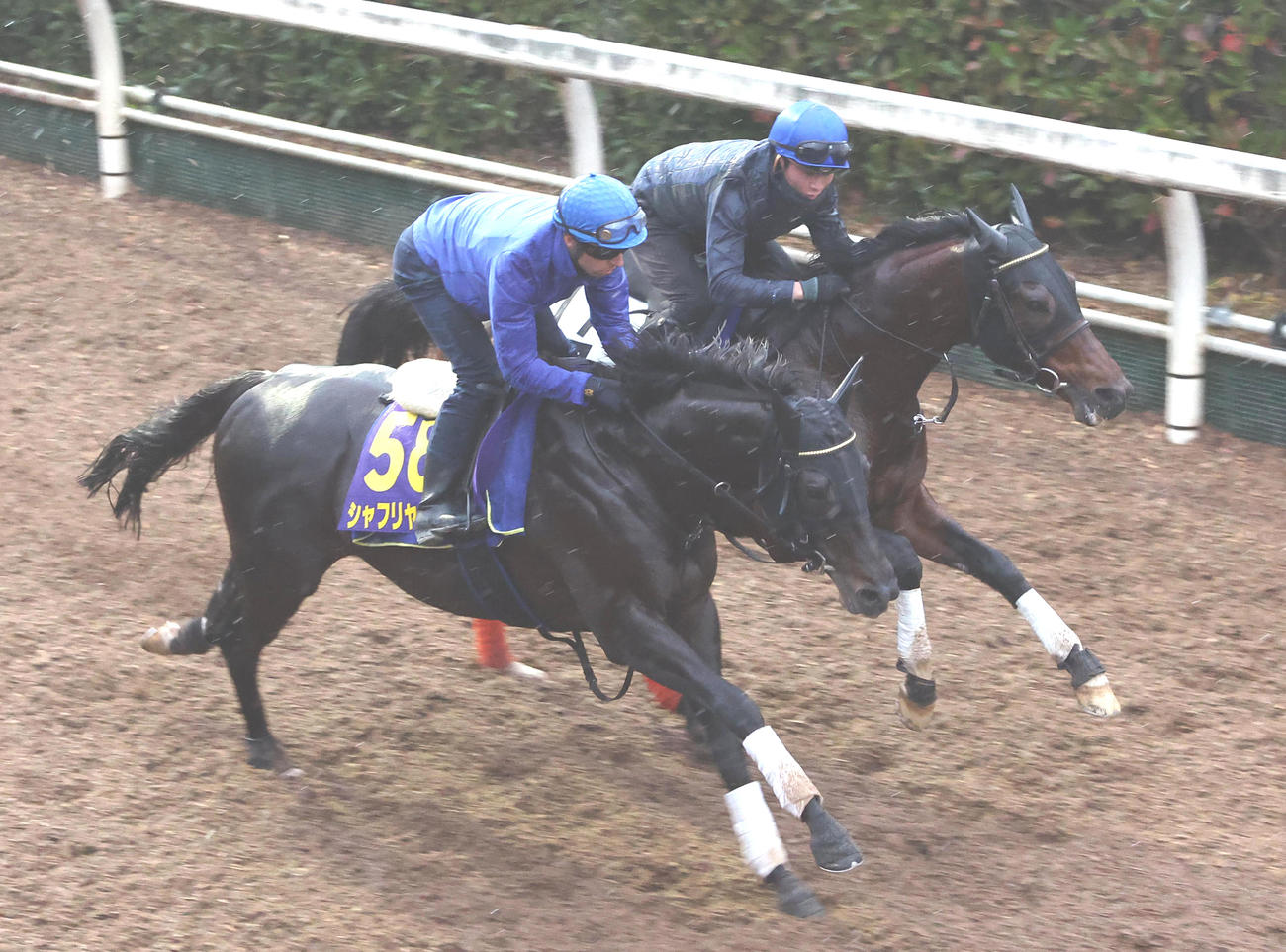 C・デムーロ騎手を背に坂路をプライムフェイズ（右）と併せ馬で追い切るシャフリヤール（撮影・白石智彦）