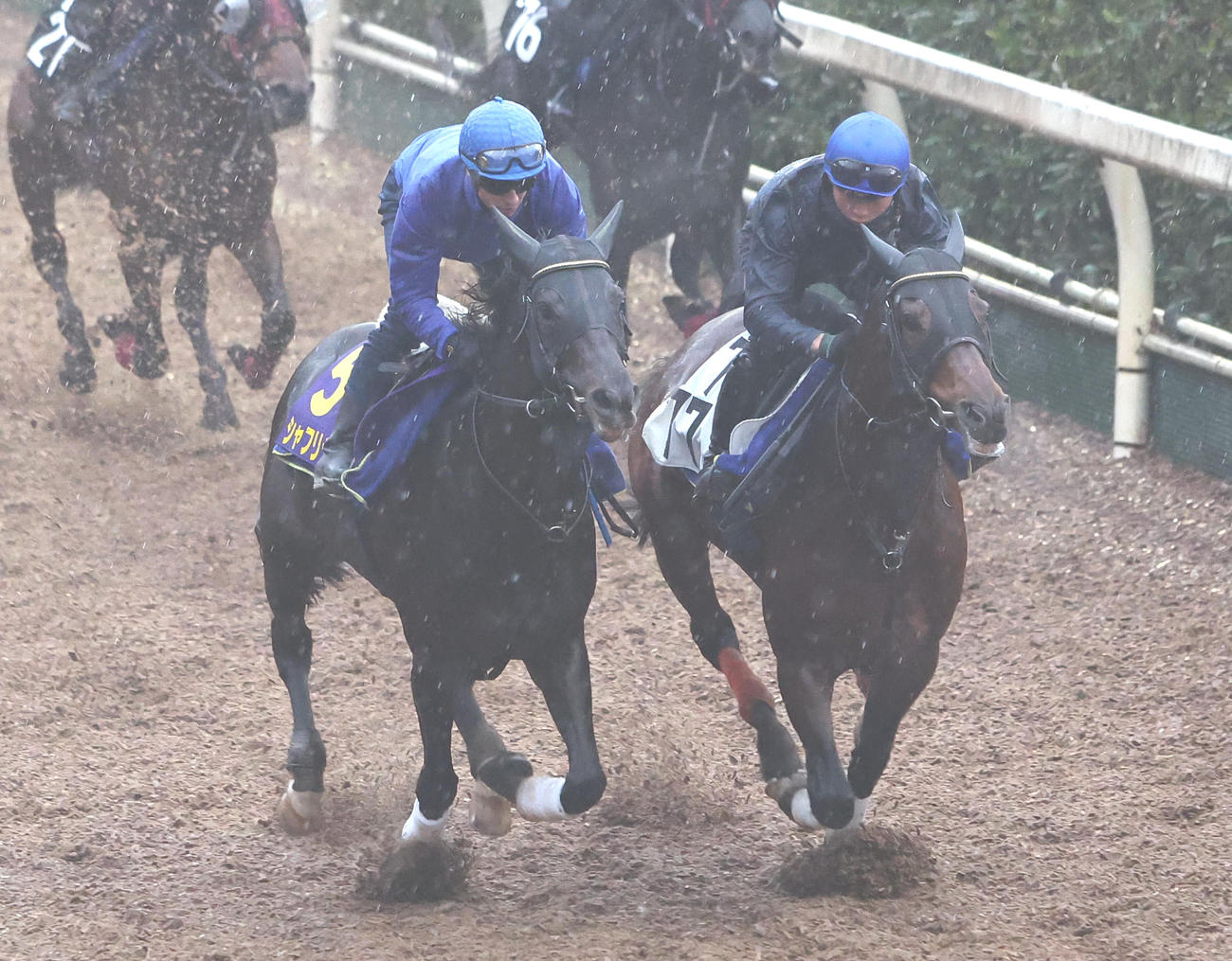 C・デムーロ騎手を背に坂路をプライムフェイズ（右）と併せ馬で追い切るシャフリヤール（撮影・白石智彦）