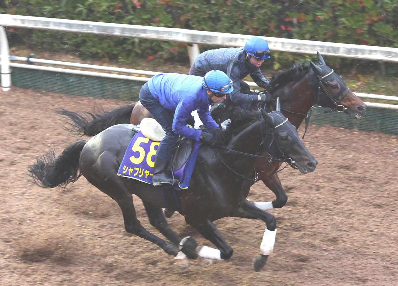 C・デムーロ騎手を背に坂路をプライムフェイズ（奥）と併せ馬で追い切るシャフリヤール（撮影・白石智彦）