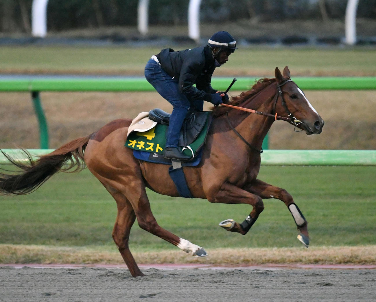 調整するフランスのオネスト（撮影・柴田隆二）
