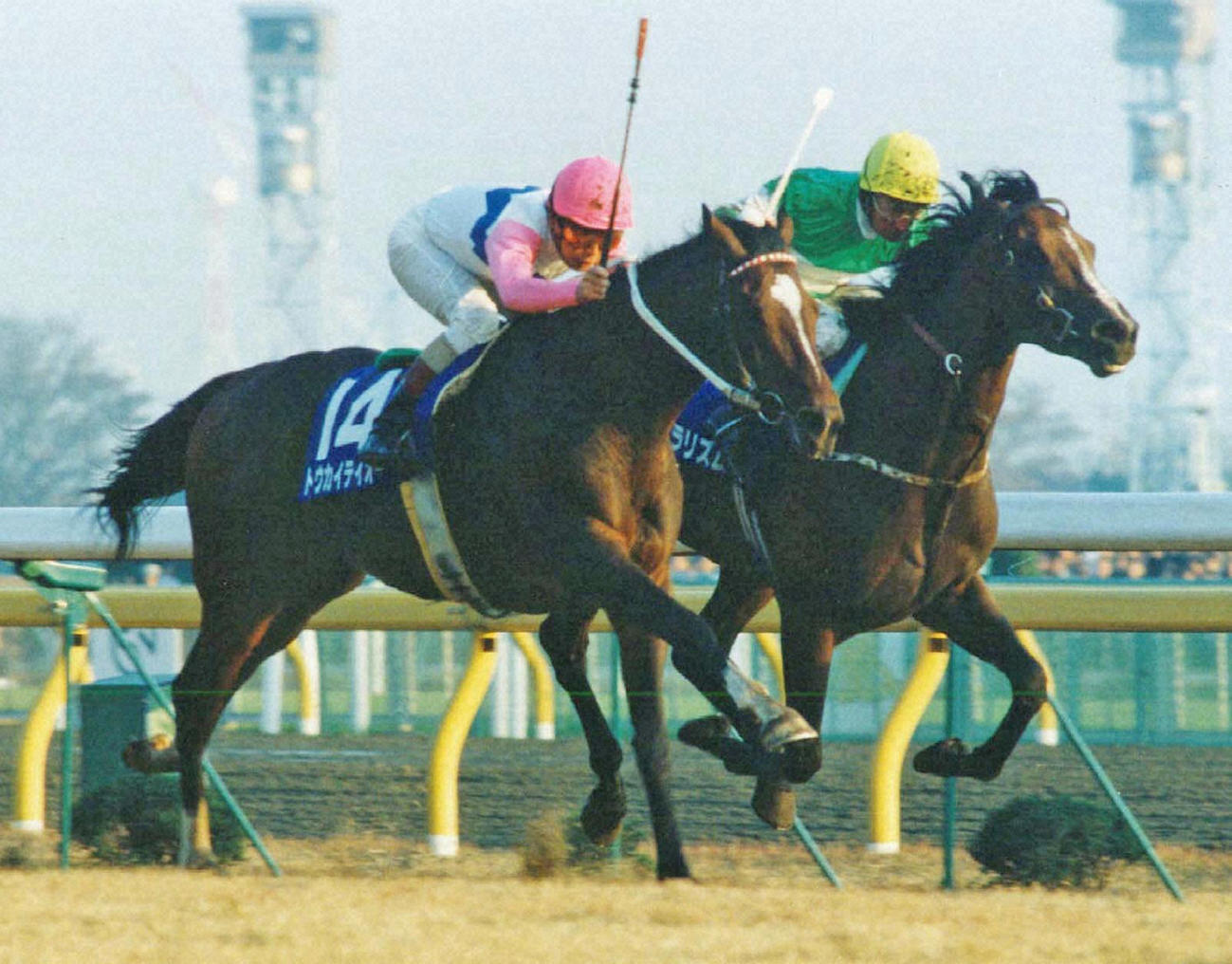 92年11月、ジャパンC1着トウカイテイオー（左）と2着ナチュラリズム