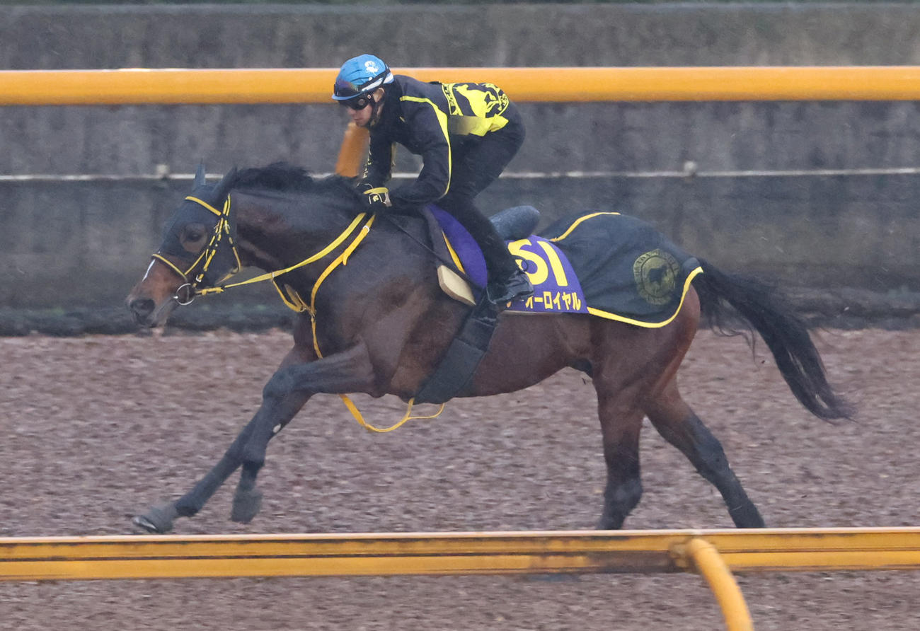 菱田騎手を背にCウッドで追い切るテーオーロイヤル