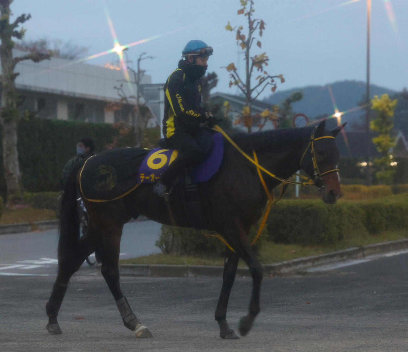 菱田騎手を背に追い切りへ向かうテーオーロイヤル