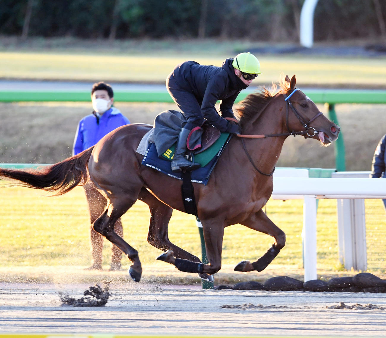 追い切りを行うシムカミル（撮影・柴田隆二）