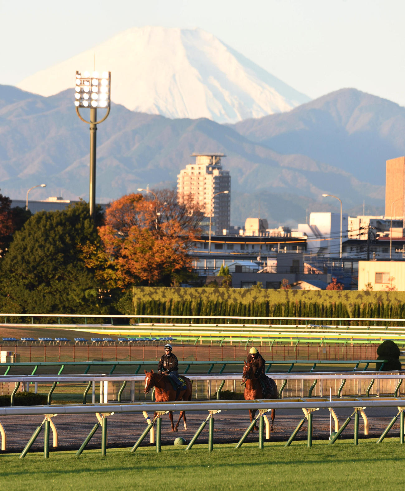 追い切りを終え、富士山をバックに引き揚げるオネスト（左）とシムカミル（撮影・柴田隆二）