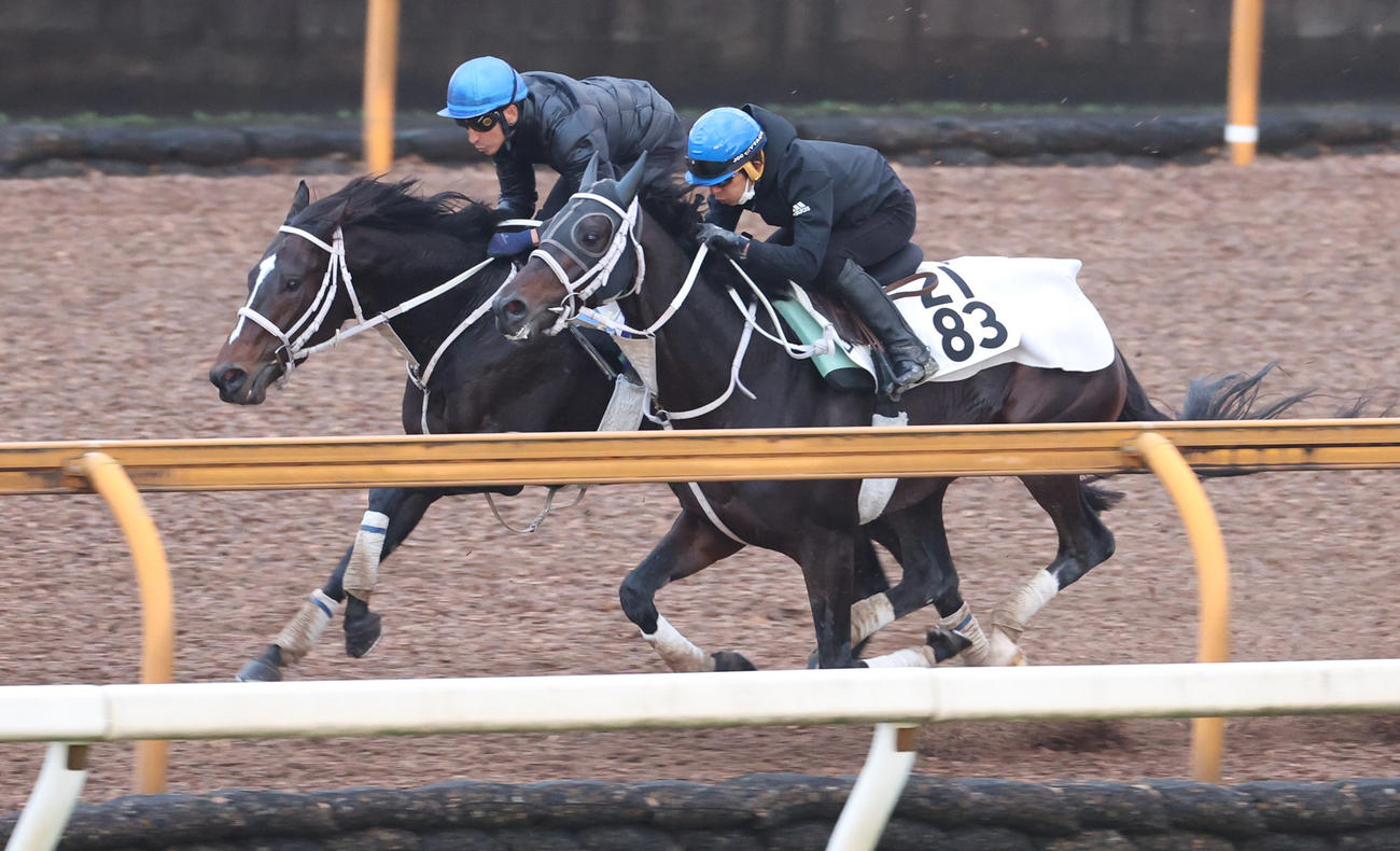 横山典騎手を背にCウッドで追い切るハピ（左）