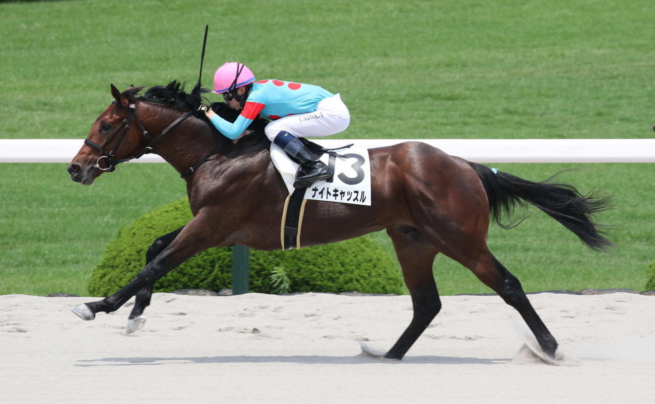 6月19日、阪神の新馬戦を快勝したナイトキャッスル