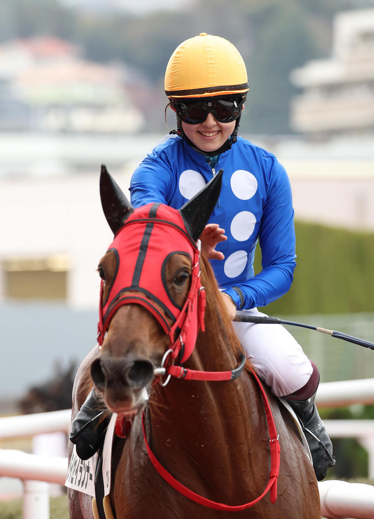 阪神2R、今村騎手を背に2歳未勝利を勝ち上がったタイセイランナー（撮影・白石智彦）