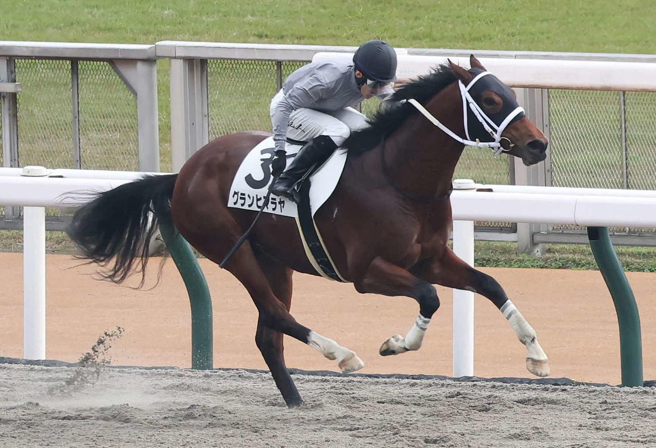 東京6R、2歳新馬戦を快勝したグランヒマラヤと石川騎手（撮影・丹羽敏通）