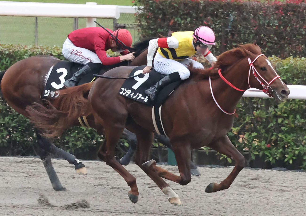 東京9R、カトレアSを制したコンティノアールとレーン騎手（右）（撮影・丹羽敏通）