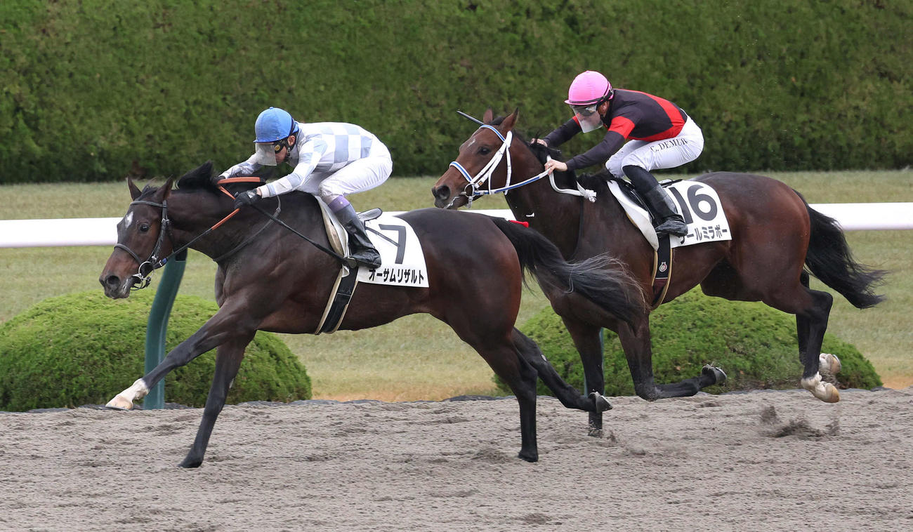阪神4R、直線抜け出して新馬戦を制したオーサムリザルト（左）（撮影・白石智彦）