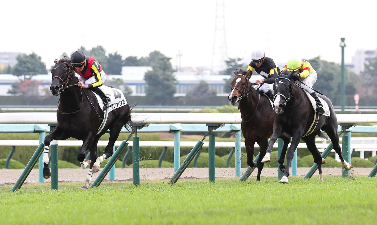 阪神5R、直線抜け出して新馬戦を制したクファシル（左）（撮影・白石智彦）