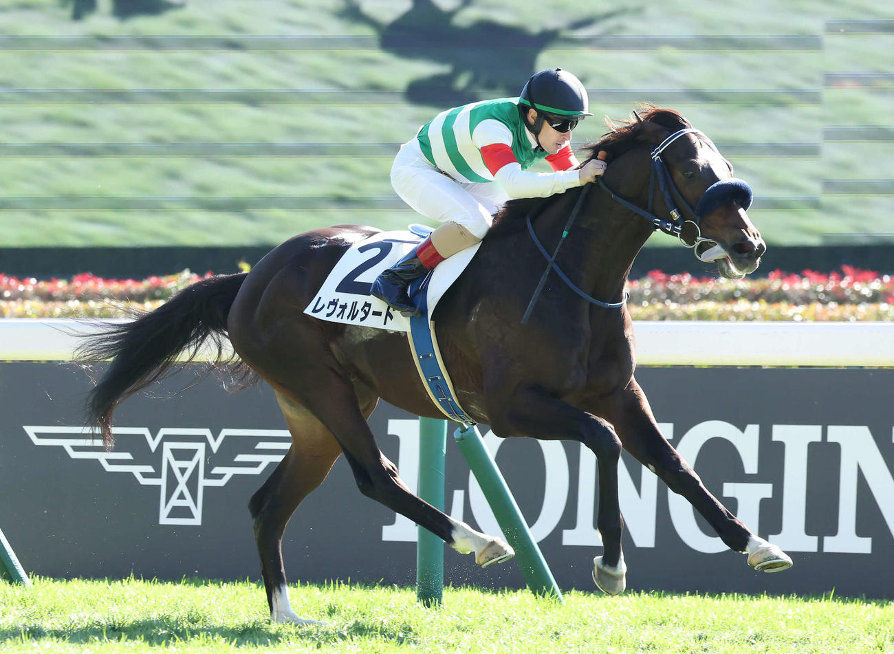 東京4R、2歳未勝利戦を快勝したレヴォルタードとルメール騎手（撮影・丹羽敏通）