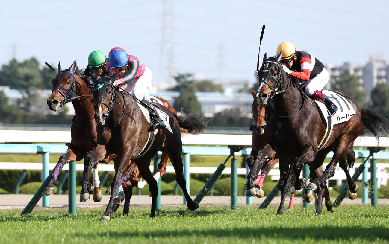 阪神6R新馬戦を制したイングランドアイズ（中央）（撮影・白石智彦）