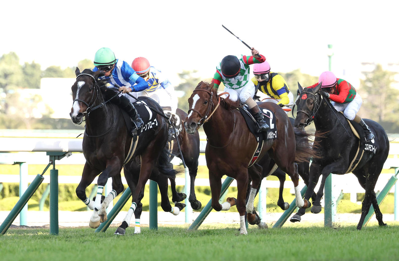 阪神9R白菊賞、ムーンプローブ（左）はレッドヒルシューズ（中央）との接戦を制してを勝利（撮影・白石智彦）