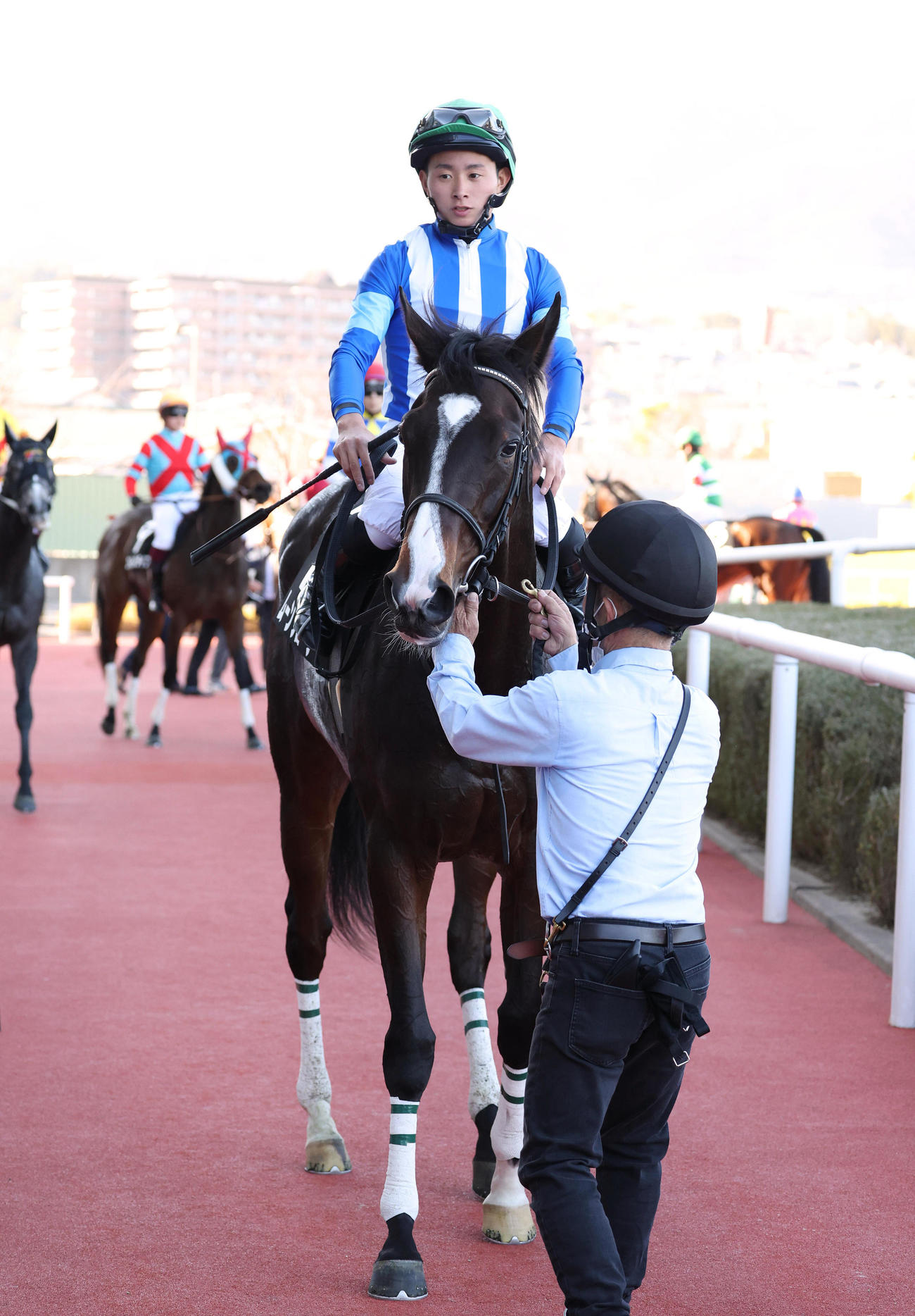 阪神9R白菊賞を勝利したムーンプローブ（撮影・白石智彦）