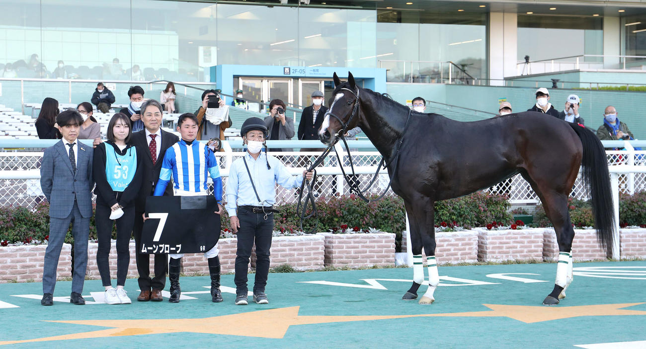 阪神9R白菊賞を勝利したムーンプローブと口取りに並ぶ岩田望騎手（右から2人目）（撮影・白石智彦）