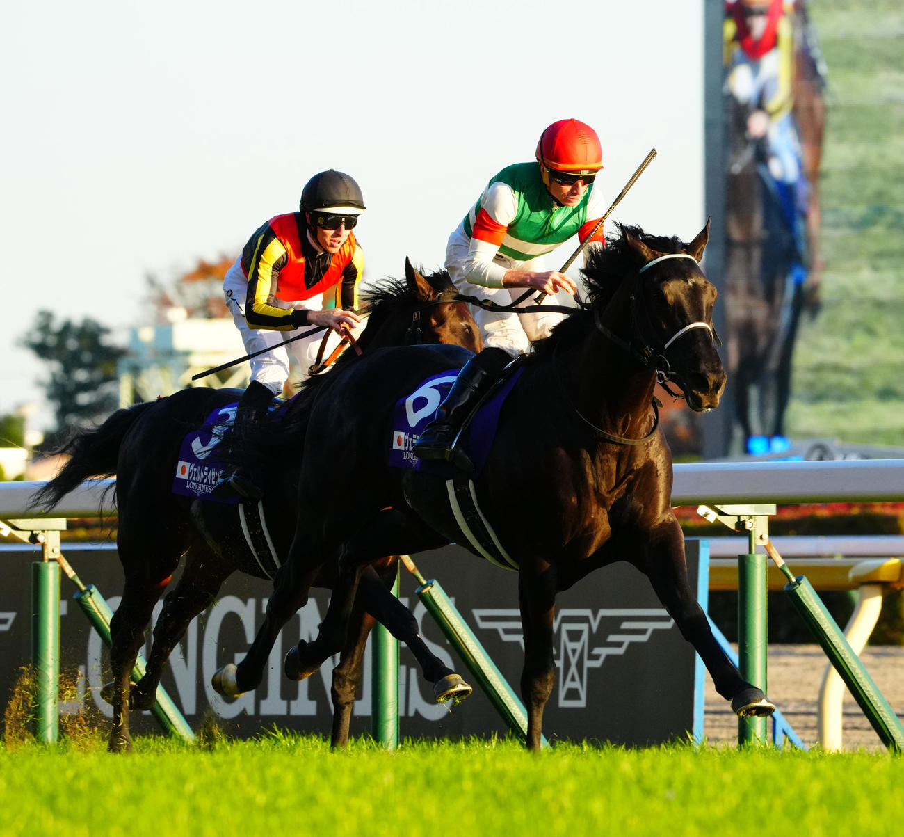 ジャパンC3着に敗れたヴェルトライゼンデ（左）。右は勝ったヴェラアズール