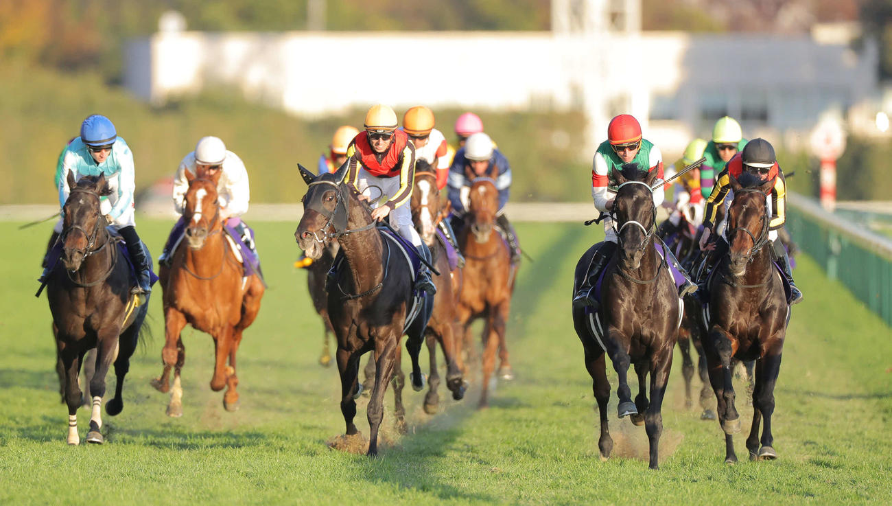 ジャパンC4着に敗れたデアリングタクト（左）。右から2頭目は勝ったヴェラアズール（撮影・丹羽敏通）