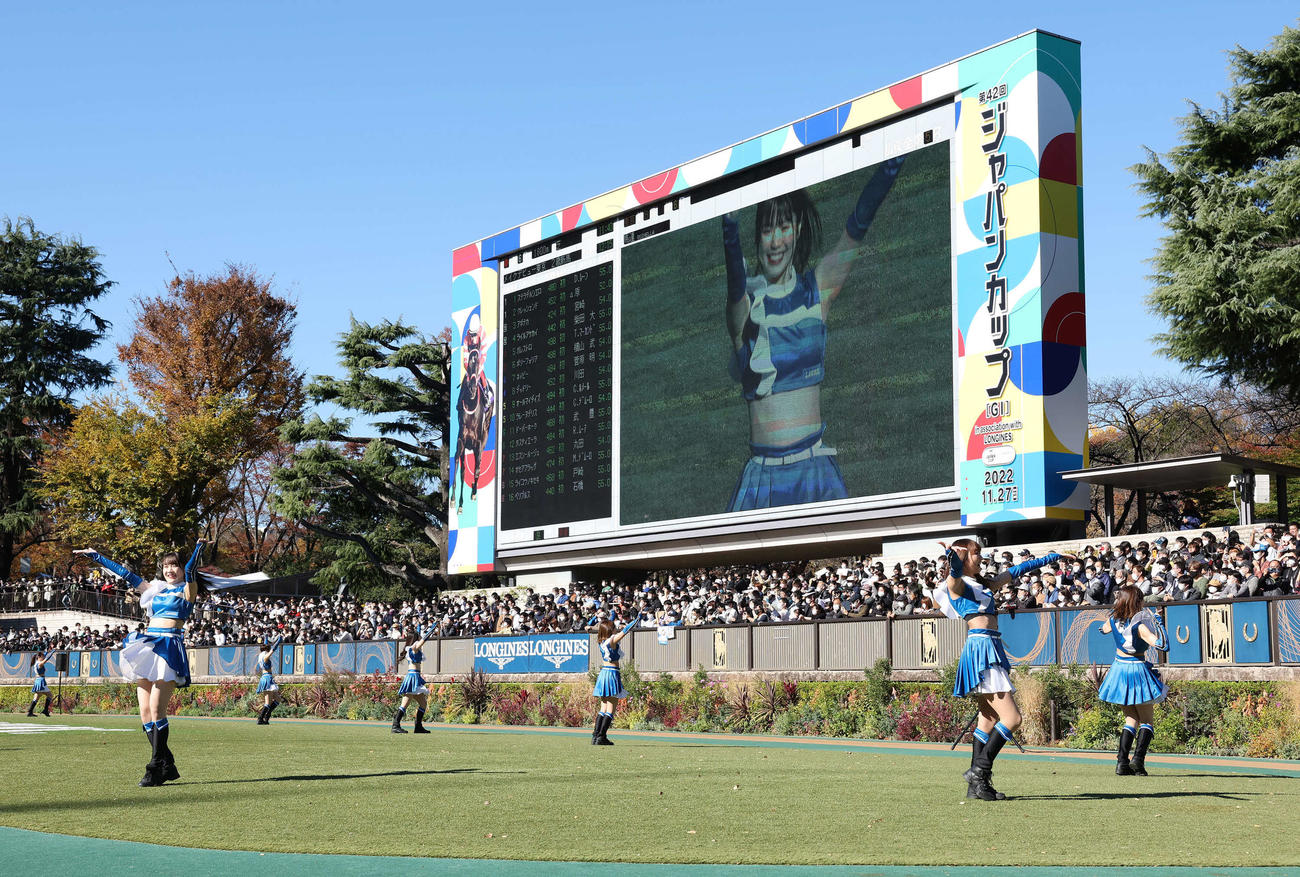 パドックできつねダンスを披露するファイターズガール（撮影・丹羽敏通）