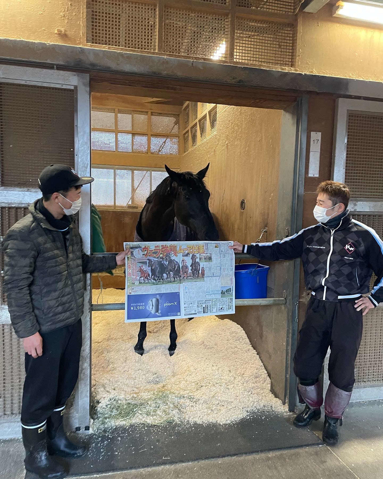 日刊スポーツのジャパンC紙面に興味津々のヴェラアズール（撮影・下村琴葉）