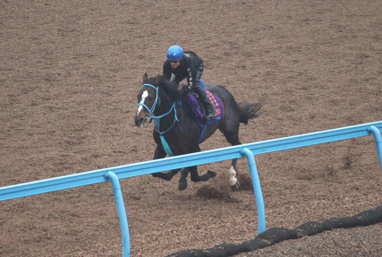 中山大障害へ向けた3週前追い切りを行ったオジュウチョウサン