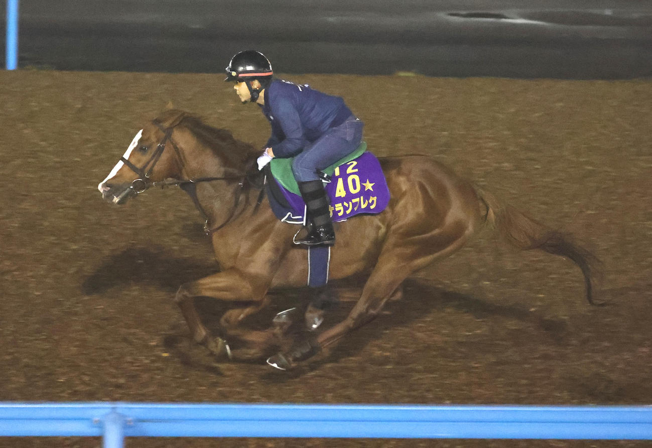 美浦ウッドで単走で追い切るナランフレグ（撮影・鈴木正人）