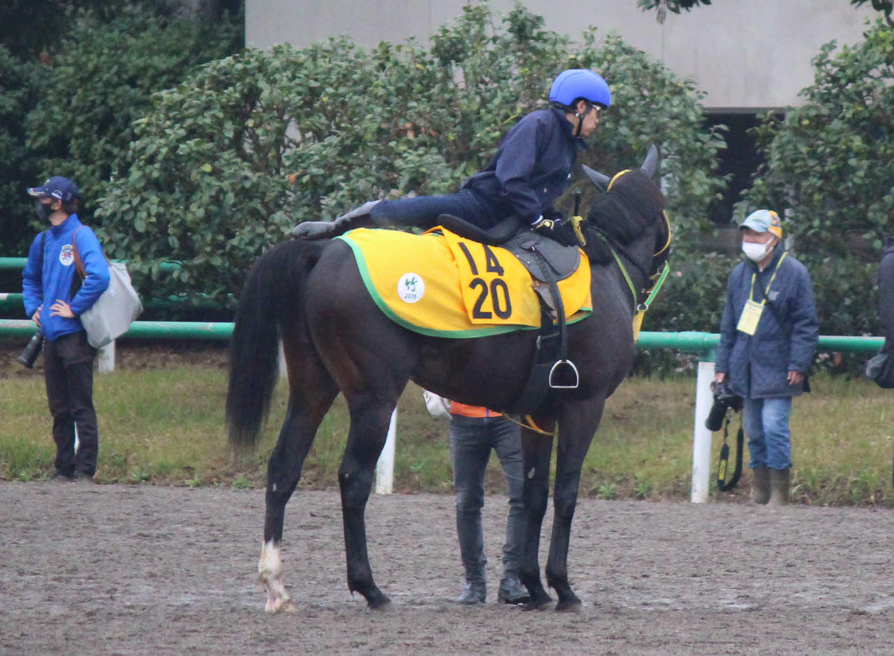 追い切りを終えたビレッジイーグルと大江原騎手（撮影・木南友輔）