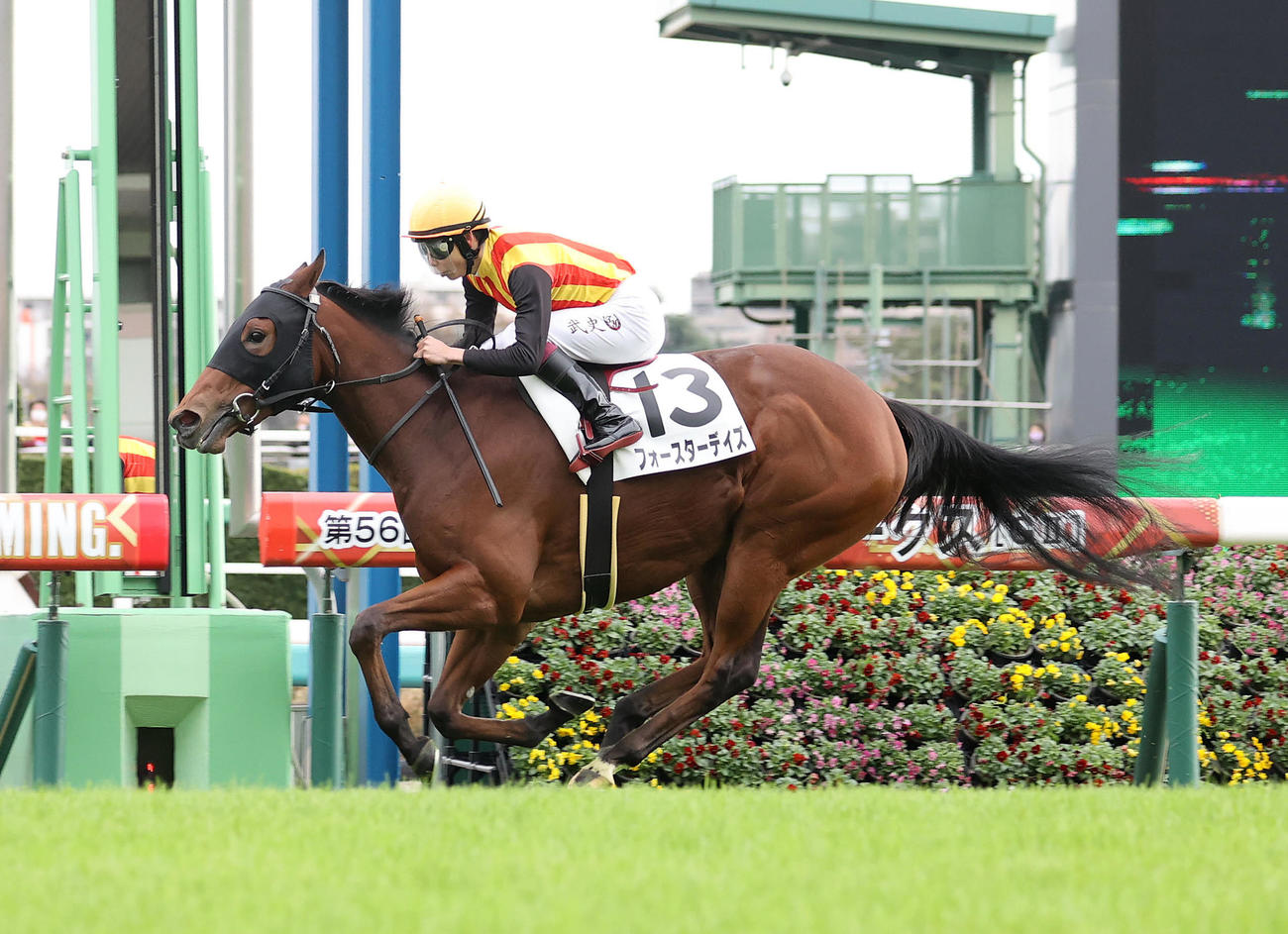 中山新馬戦を制したフォースターデイズと横山武史騎手（撮影・鈴木正人）