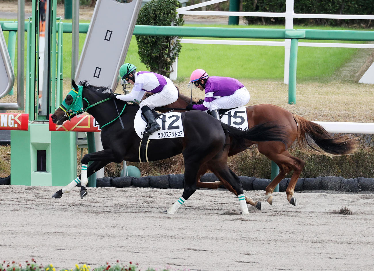 中山新馬戦を制したラックスアットゼア（左）と石川裕紀人騎手（撮影・鈴木正人）