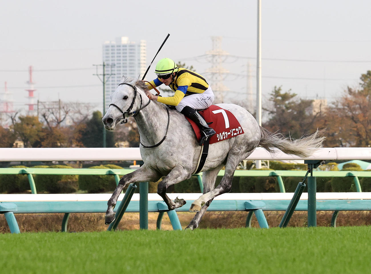 ステイヤーズSを制したシルヴァーソニックとD・レーン騎手（撮影・鈴木正人）