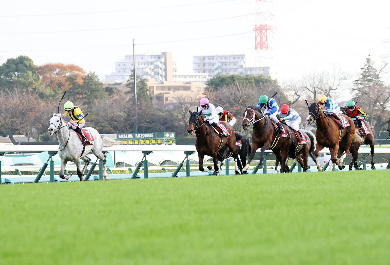 ステイヤーズSを制したシルヴァーソニック（左）とD・レーン騎手（撮影・鈴木正人）