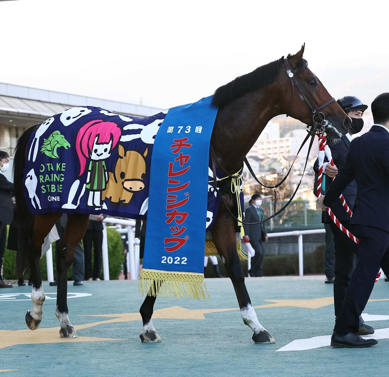 チャレンジCを制し優勝レイを掛けられたソーヴァリアント（撮影・上田博志）