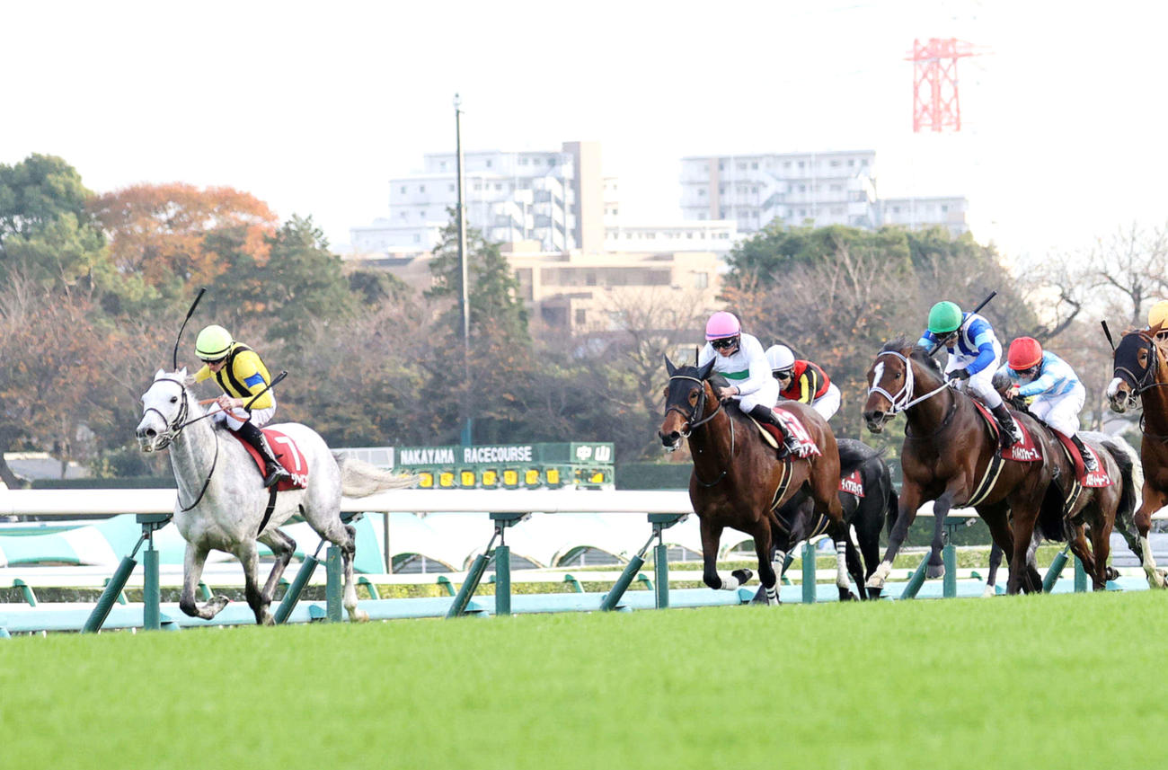ステイヤーズSを制したシルヴァーソニック（左）とD・レーン騎手（撮影・鈴木正人）