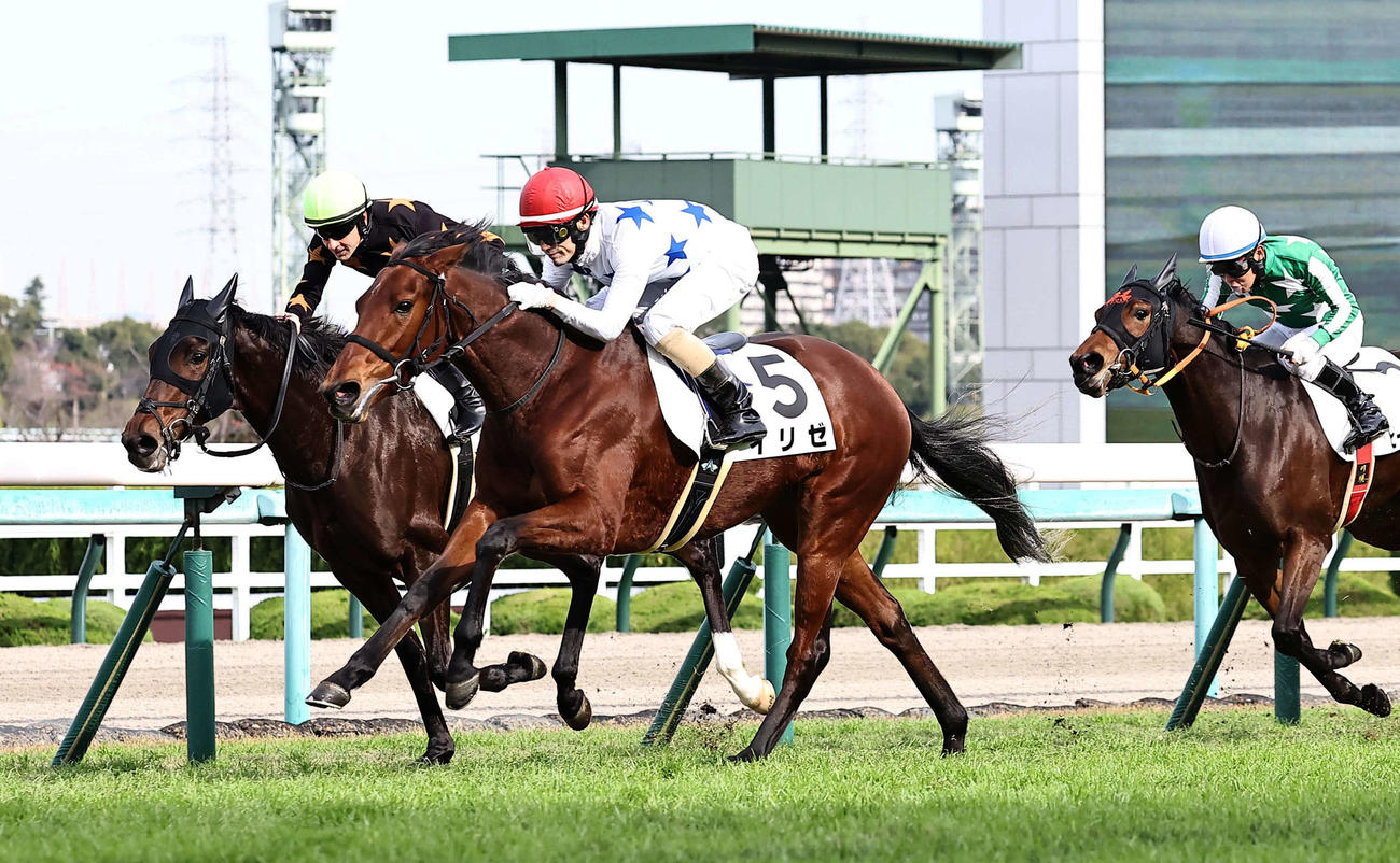 阪神6R　メイクデビュー阪神を制したイリゼ（中央）（撮影・上田博志）