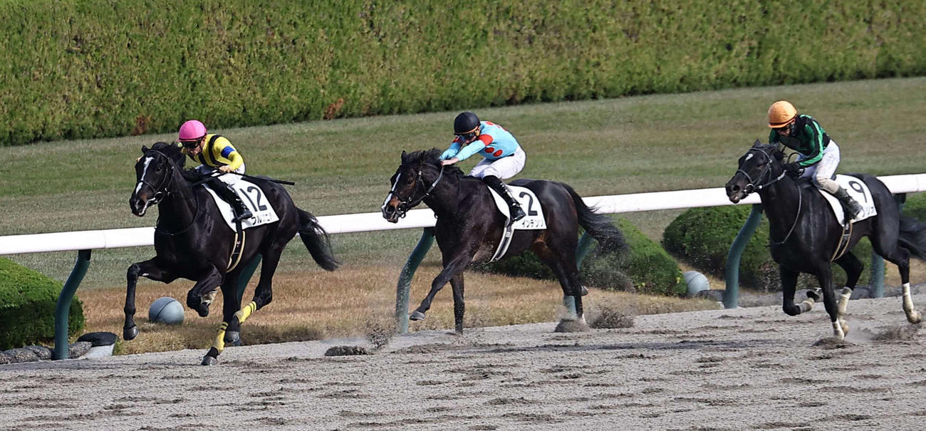 阪神5R　メイクデビュー阪神を制したフルングニル（左）（撮影・上田博志）
