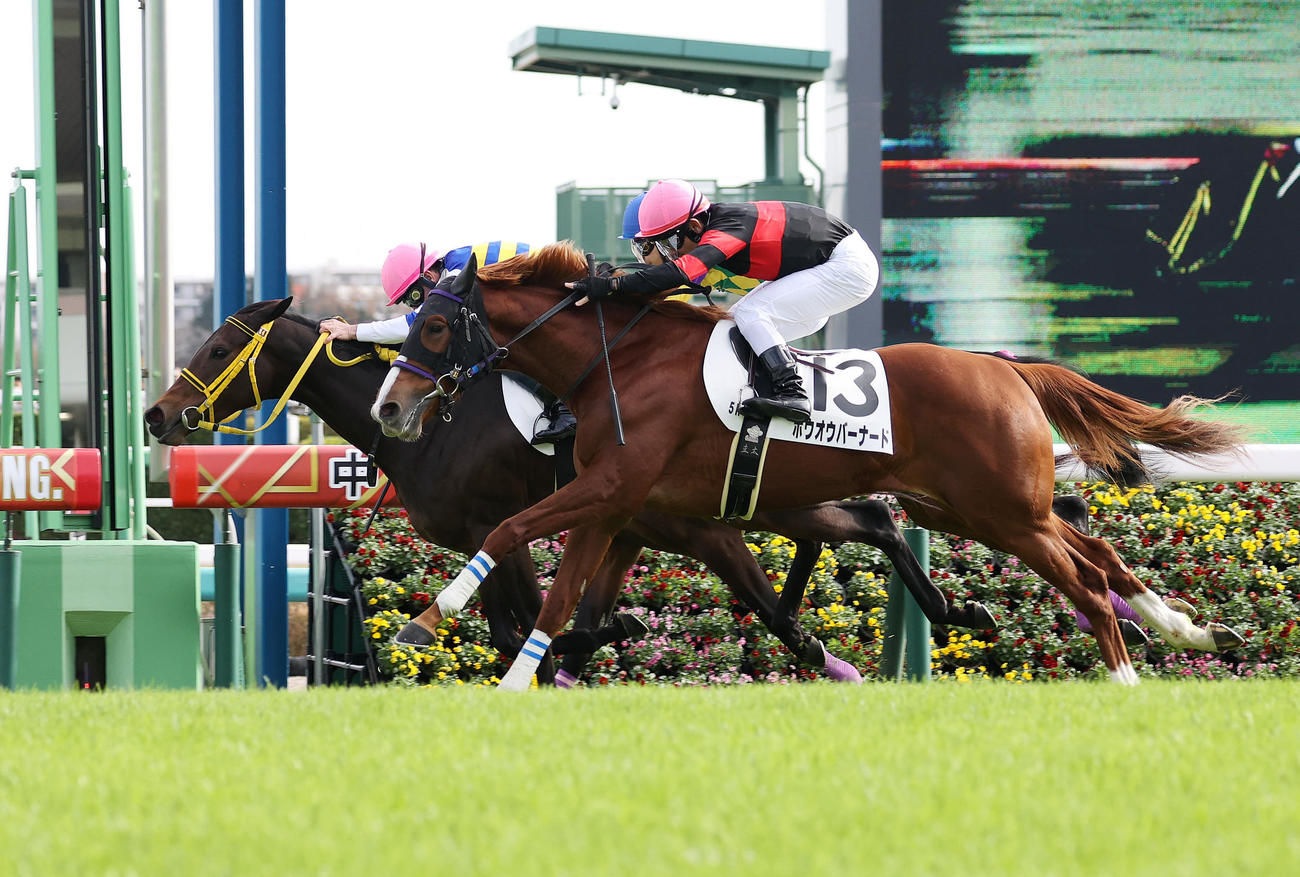 中山5R新馬戦を制したディヴァージオン（左）とM・デムーロ騎手（撮影・鈴木正人）