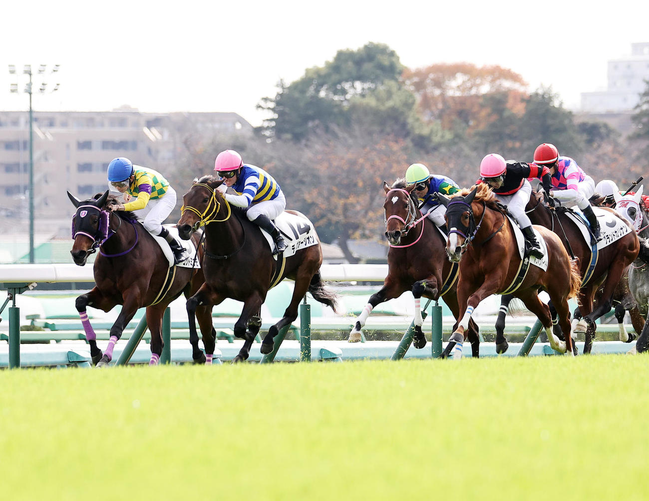 中山5R新馬戦を制したディヴァージオン（左から2頭目）とM・デムーロ騎手（撮影・鈴木正人）