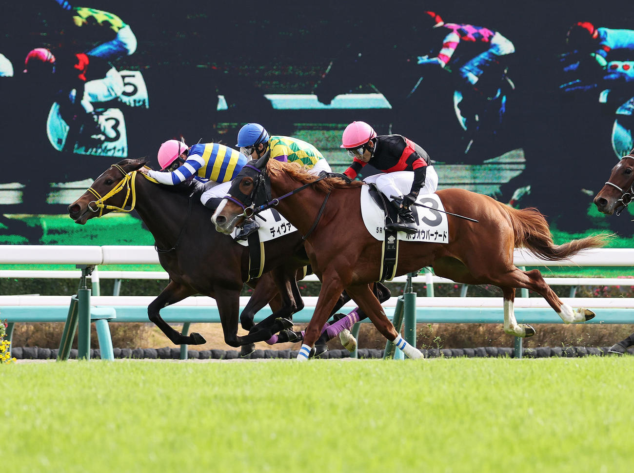 中山5R新馬戦を制したディヴァージオン（左）とM・デムーロ騎手（撮影・鈴木正人）