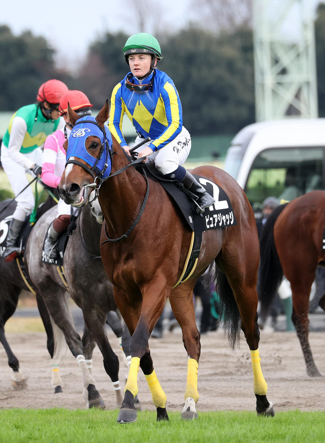 市川Sを制したピュアジャッジとH・ドイル騎手（撮影・鈴木正人）