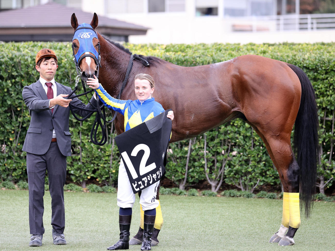市川Sを制したピュアジャッジとH・ドイル騎手（撮影・鈴木正人）