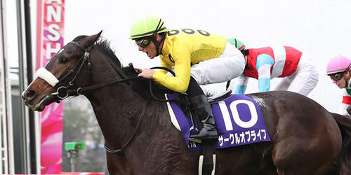 3連勝で阪神JFを制して2歳女王に輝いたサークルオブライフ=2021年12月12日、阪神競馬場